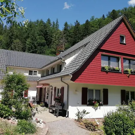 In Near Black Forest National Park Apartman Oppenau