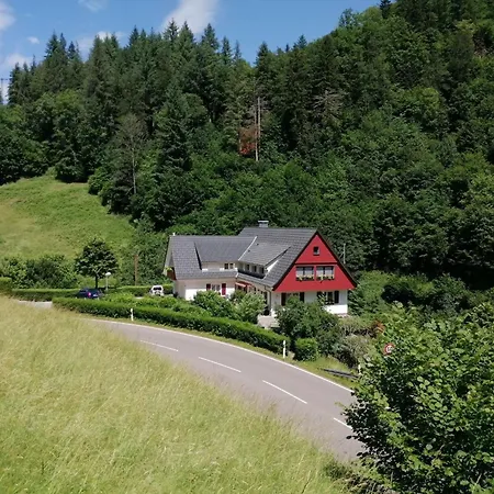 In Near Black Forest National Park * Oppenau
