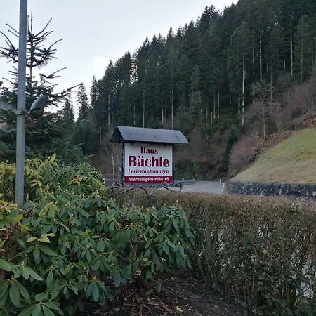 Apartman In Near Black Forest National Park