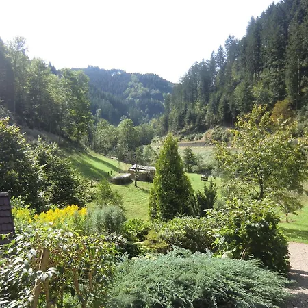 In Near Black Forest National Park Oppenau