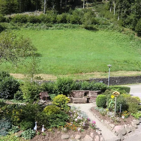 Apartman In Near Black Forest National Park