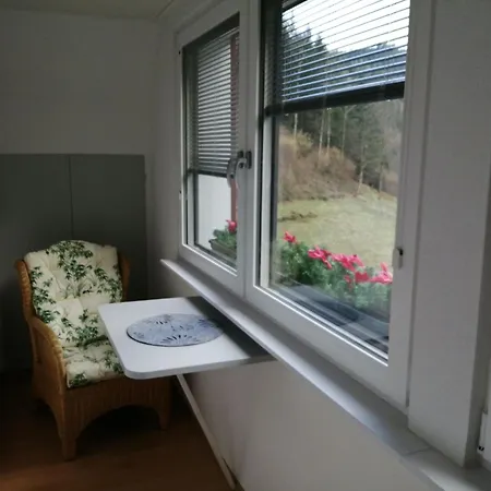 In Near Black Forest National Park Apartman Oppenau