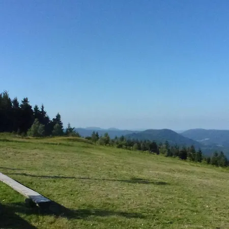 In Near Black Forest National Park * Oppenau