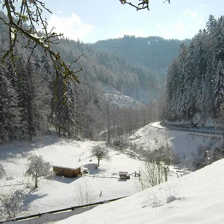 In Near Black Forest National Park Apartman *