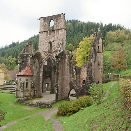 In Near Black Forest National Park * Oppenau