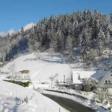 In Near Black Forest National Park