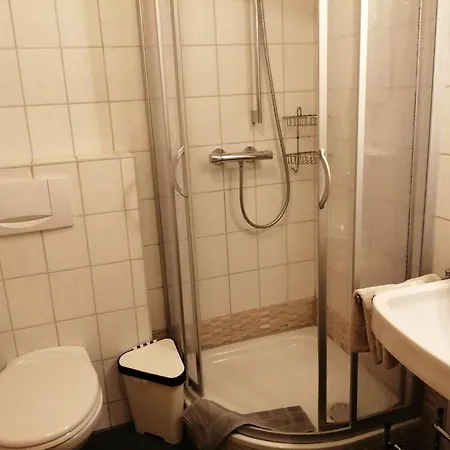 In Near Black Forest National Park Apartman Oppenau
