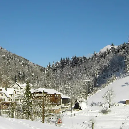 In Near Black Forest National Park Oppenau