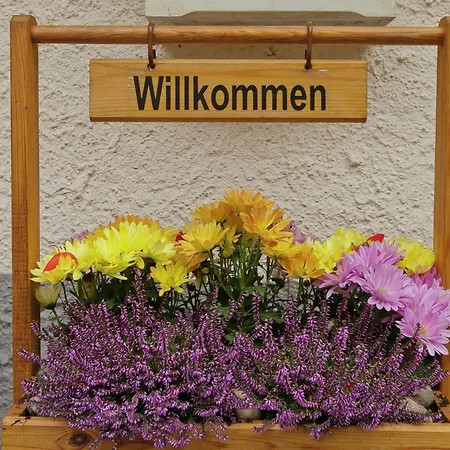 In Near Black Forest National Park