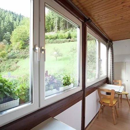 In Near Black Forest National Park Apartman