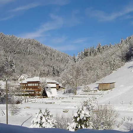 Apartman In Near Black Forest National Park *