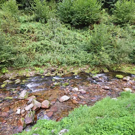 Apartman In Near Black Forest National Park *