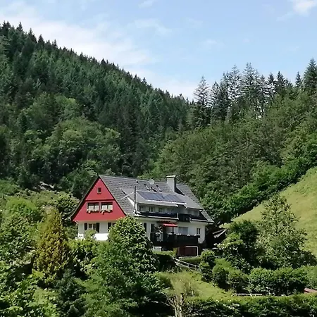 In Near Black Forest National Park