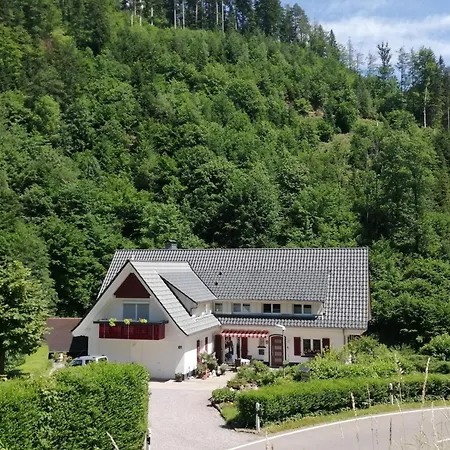 In Near Black Forest National Park Apartman