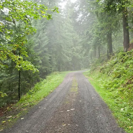 In Near Black Forest National Park