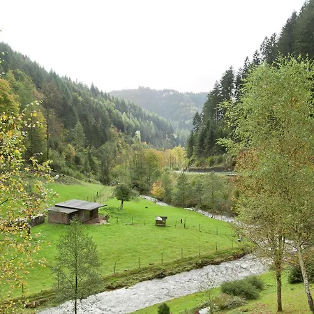 Apartman In Near Black Forest National Park