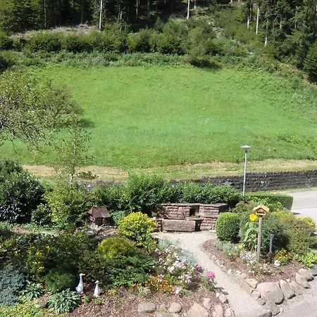 Apartman In Near Black Forest National Park