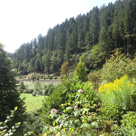In Near Black Forest National Park