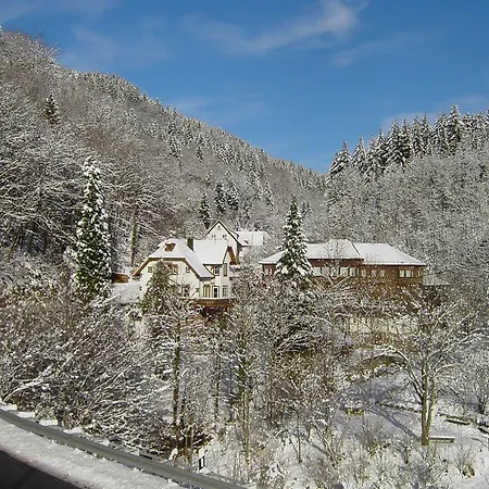 Apartman In Near Black Forest National Park