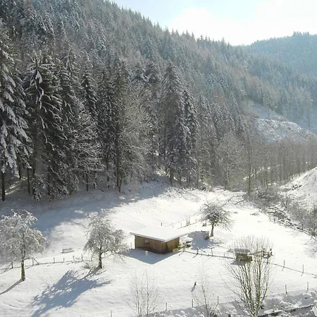 Apartman In Near Black Forest National Park *